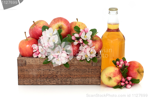 Image of Cider Apples with Blossom