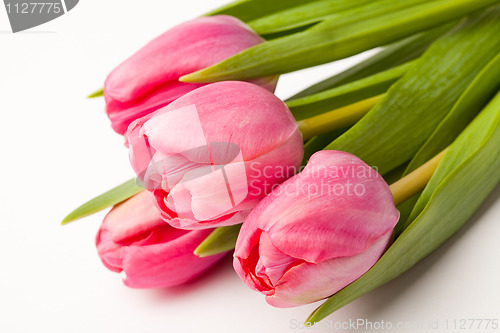 Image of Pink tulips