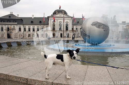 Image of Grassalkovichov palace