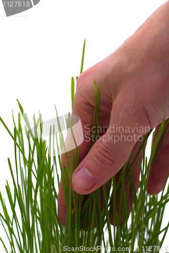 Image of  touching grass
