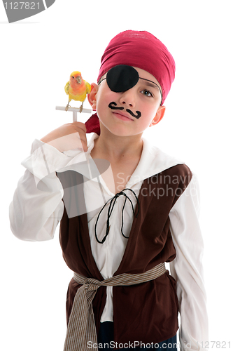 Image of Pirate with pet bird