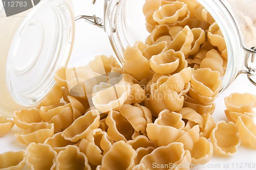 Image of Sea Shell Pasta