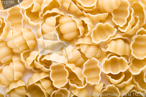 Image of Sea Shell Pasta Background