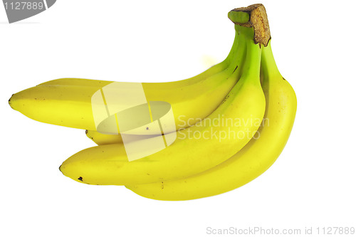 Image of Bunch of bananas