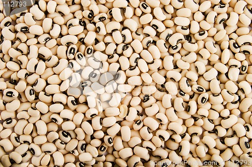 Image of Black Eyed Peas