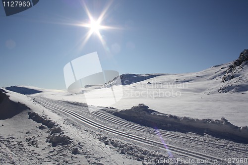 Image of Skitracks in sunshine