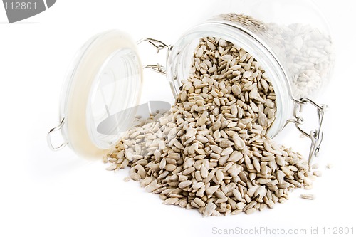 Image of Bulk Sunflower Seeds