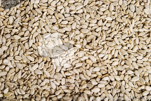 Image of Sunflower Seeds Background