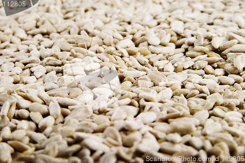 Image of Sunflower Seeds Background