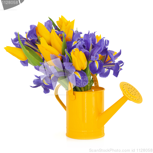 Image of Tulip and Iris Flower Beauty