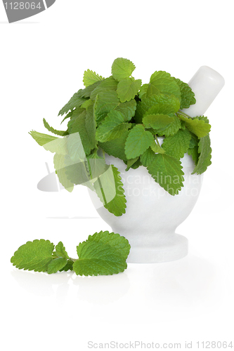 Image of Lemon Balm Herb