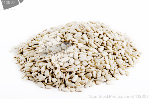 Image of Bulk Sunflower Seeds