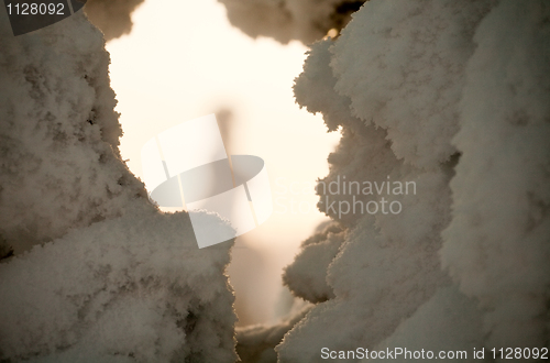 Image of winter close-up