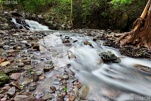 Image of Stream