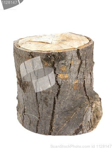 Image of Log