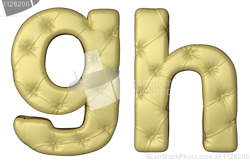 Image of Luxury beige leather font G H letters