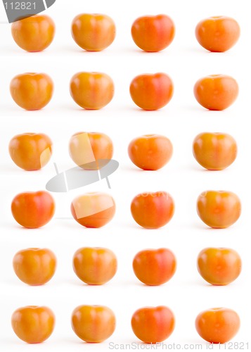 Image of Tomato Background