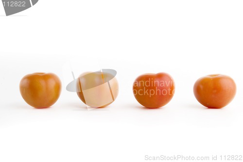 Image of Four Tomatoes