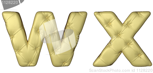 Image of Luxury beige leather font W X letters 