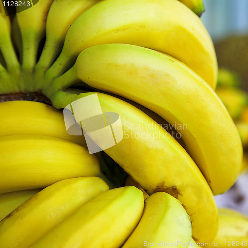 Image of banana fruits