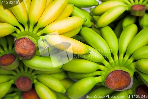 Image of bananas