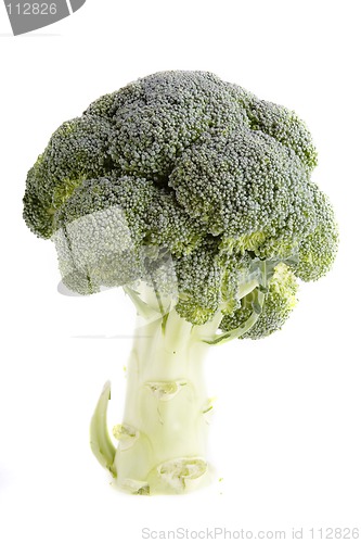 Image of Broccoli