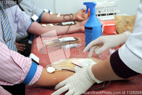 Image of blood donors in laboratory at donation