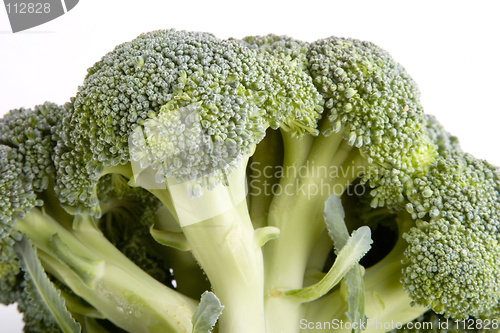 Image of Broccoli