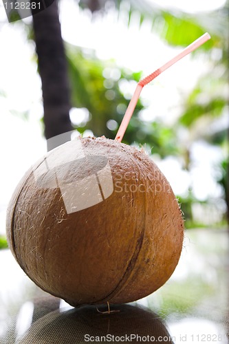 Image of coconut