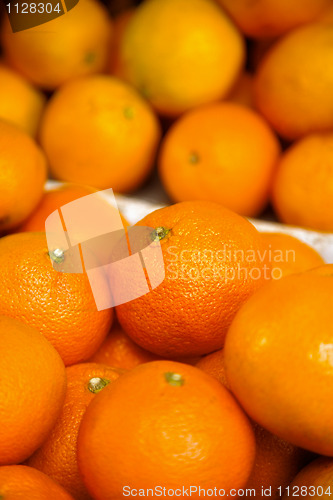 Image of tangerine background