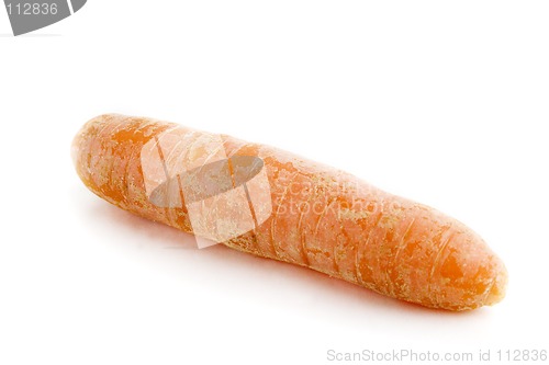 Image of Carrot