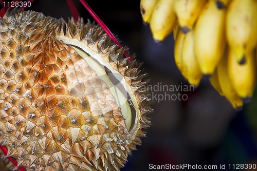 Image of durian fruit