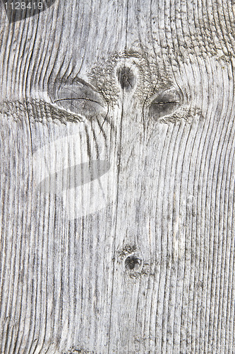 Image of Fence weathered wood background closeup 