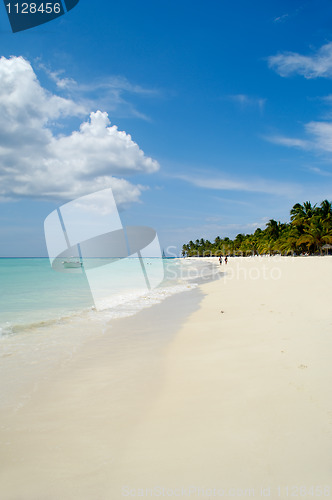 Image of Tropical beach with palm and white sand