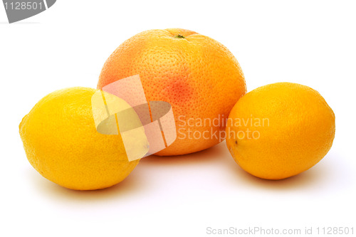 Image of two lemons and grapefruit