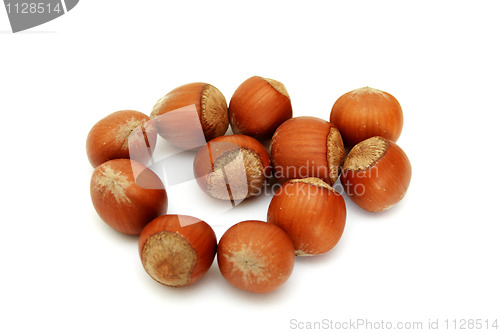 Image of Shot of hazelnuts