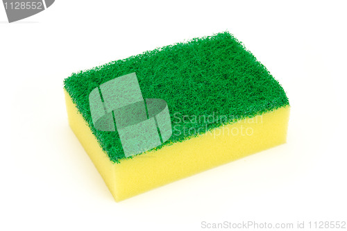 Image of sponge