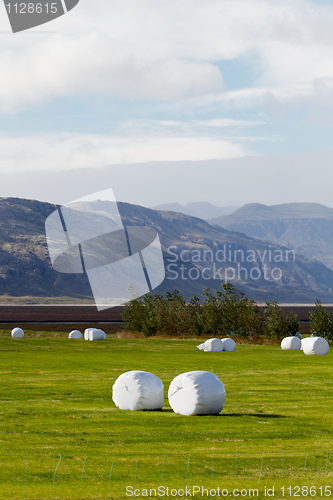 Image of Farming in Iceland