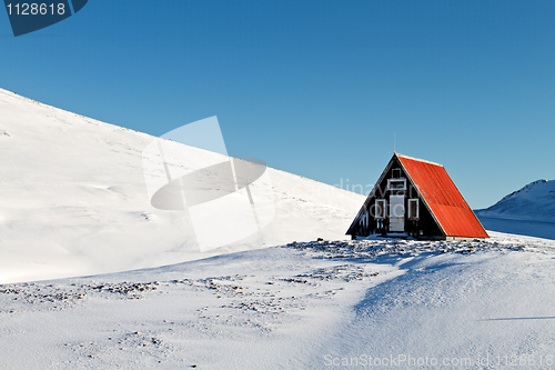 Image of Shelter