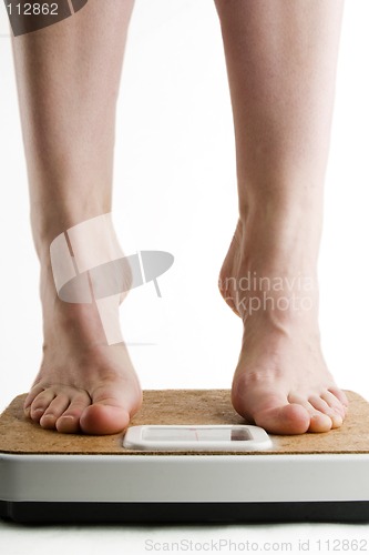 Image of Weighing In