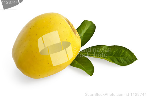 Image of Yellow apple with leaves