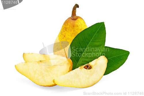 Image of Yellow pear tree with leaves
