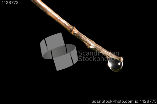 Image of Macro shoot rod with a water drop on it,