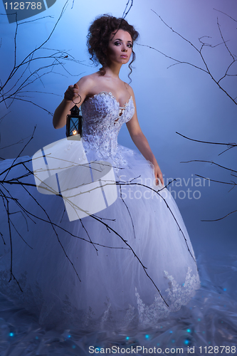 Image of Winter fairytale