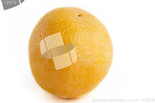 Image of Isolated orange