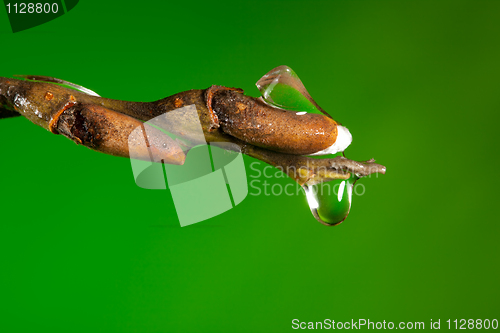 Image of Ice, melting in spring