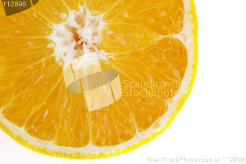 Image of Orange Slice Detail
