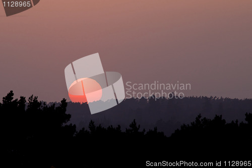 Image of Ashdown Sunset