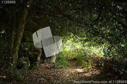 Image of Brambletye Rocks and footpath by trees and field