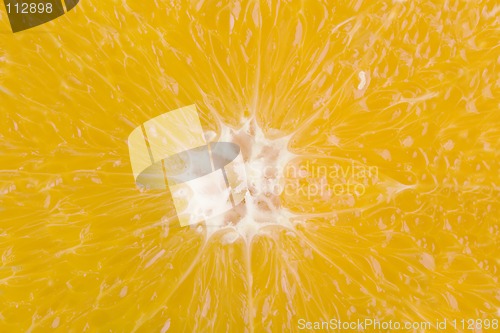 Image of Orange Slice Detail